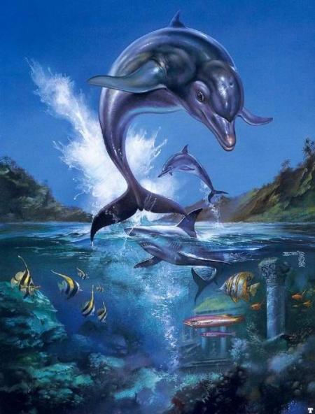 le bonheur  comme c boooo le dauphin c'est my animal  préféré